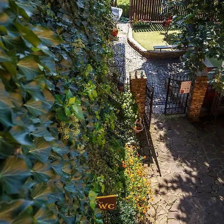 - Restaurant Atrium Guest house