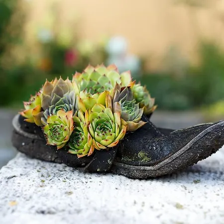 - Restaurant Atrium Guest house