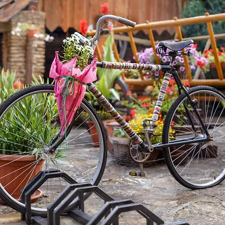 - Restaurant Atrium 3*