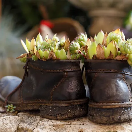 - Restaurant Atrium 3* Poprad